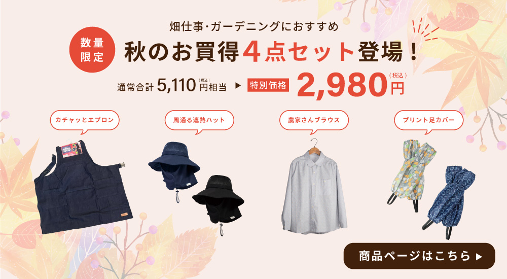 autumnset