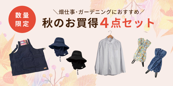 秋の4点セット