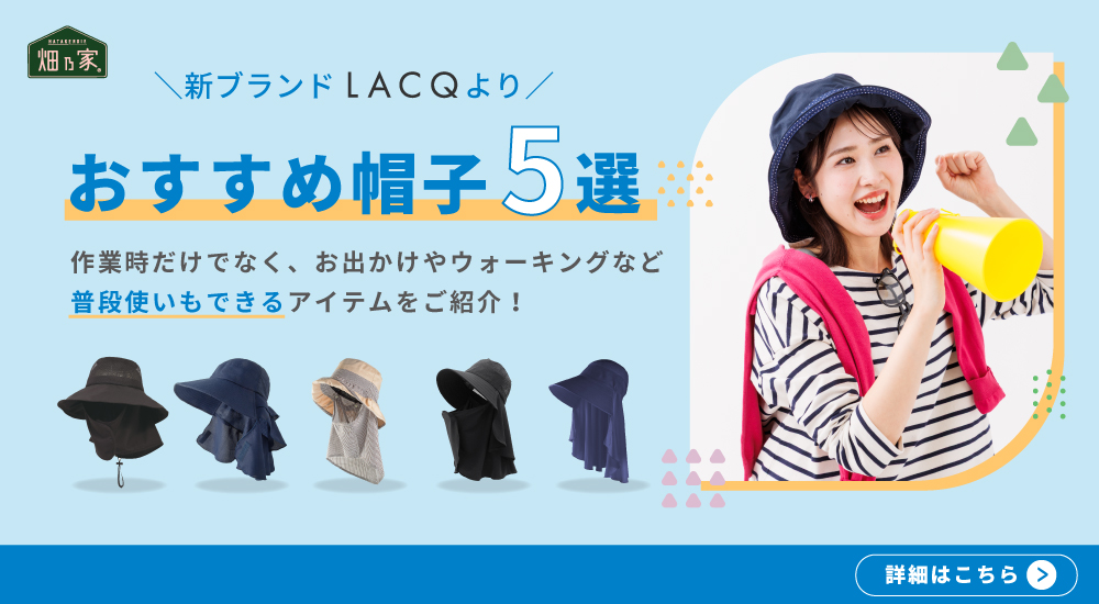 lacq