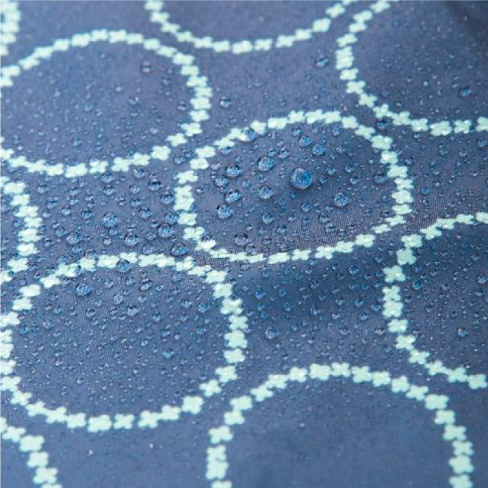 のら・ライトジャケット3