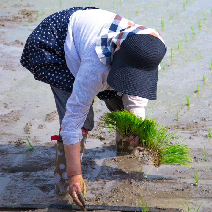 農園帽 ハーフ＆ハーフ/ブラック