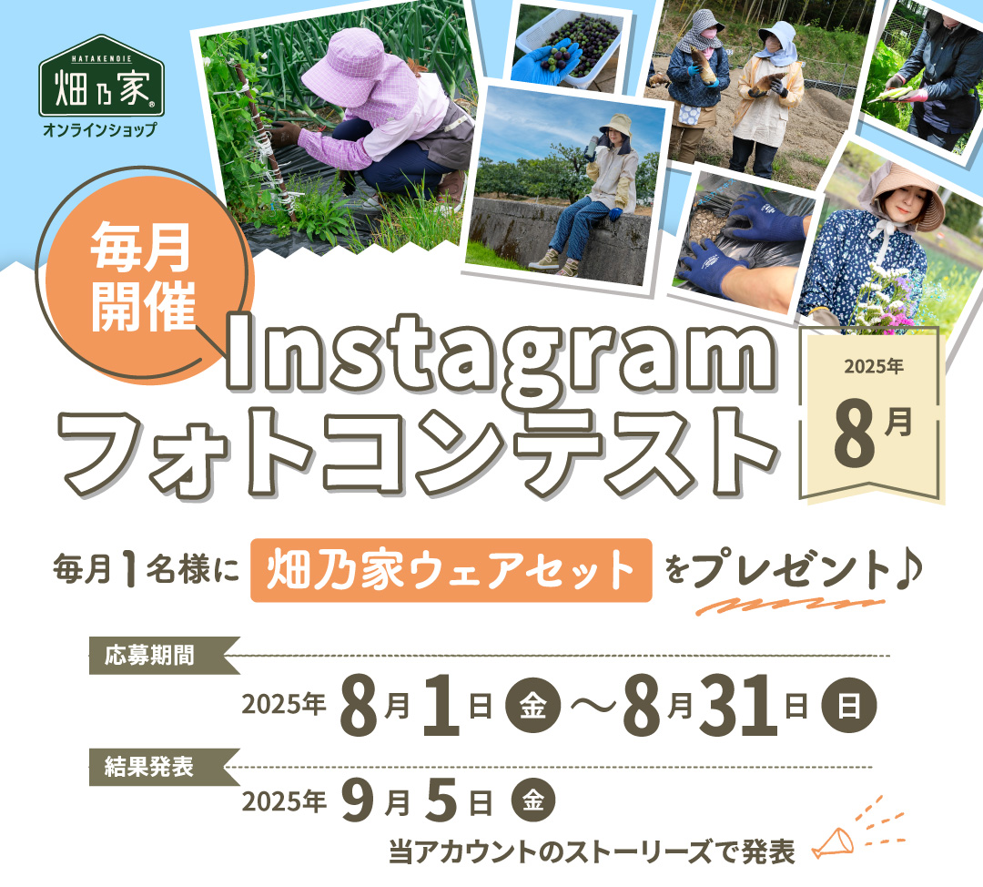 フォトコンメイン画像