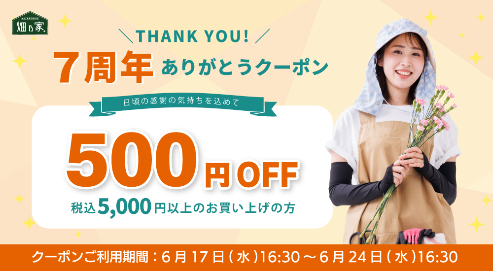 畑乃家７周年記念クーポンプレゼント！