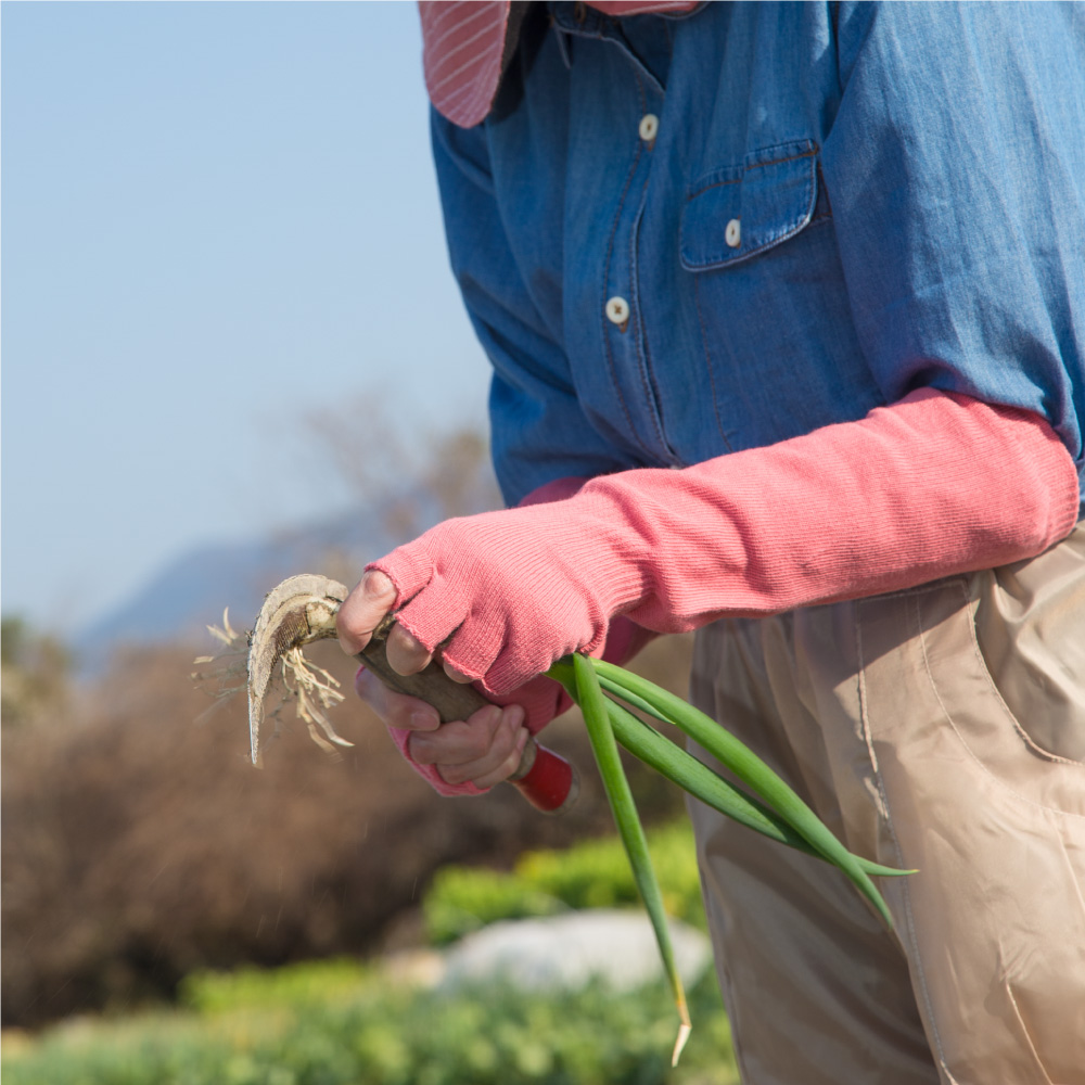 指先らくらく綿腕カバー手袋