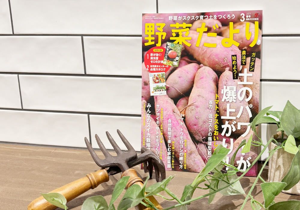 「野菜だより 3月号」掲載のお知らせ