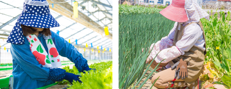 農作業をする女性たち