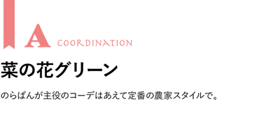 コーディネートA