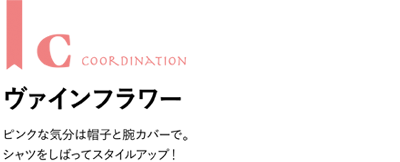 コーディネートC