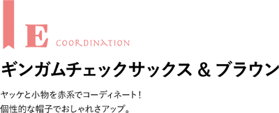 コーディネートE
