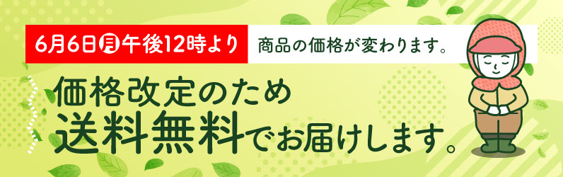 【価格改定のため送料無料でお届けいたします！ 】