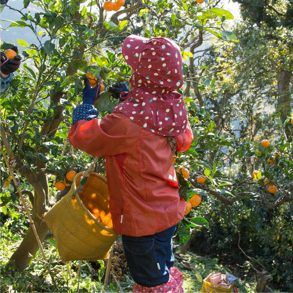 マスク付き農園フード スマイル/ツバキ （帽子）| 畑のしごと服専門