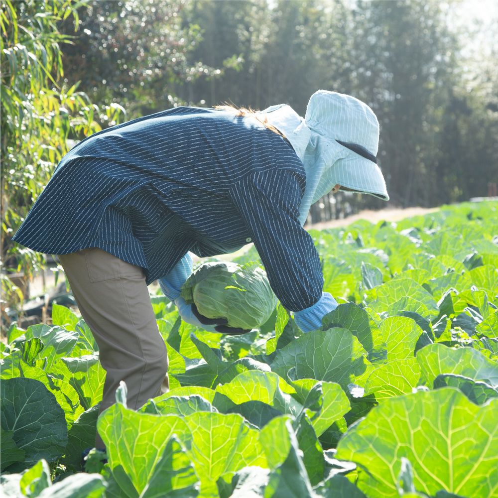 スタンドカラーロングシャツ（NS-521） （トップス）| 畑のしごと服